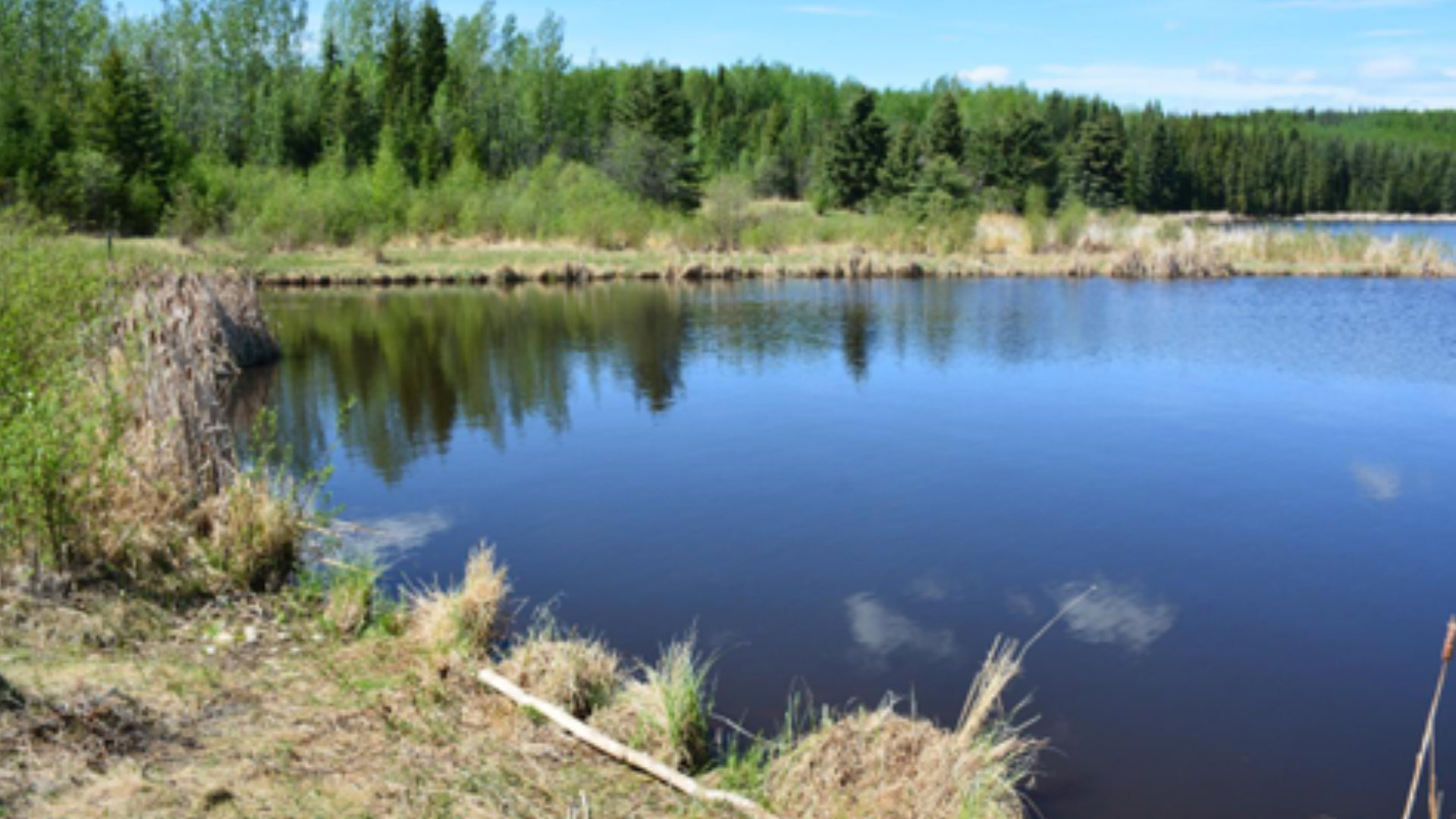 Ducks Unlimited lowering Inga Lake water levels for infrastructure assessment