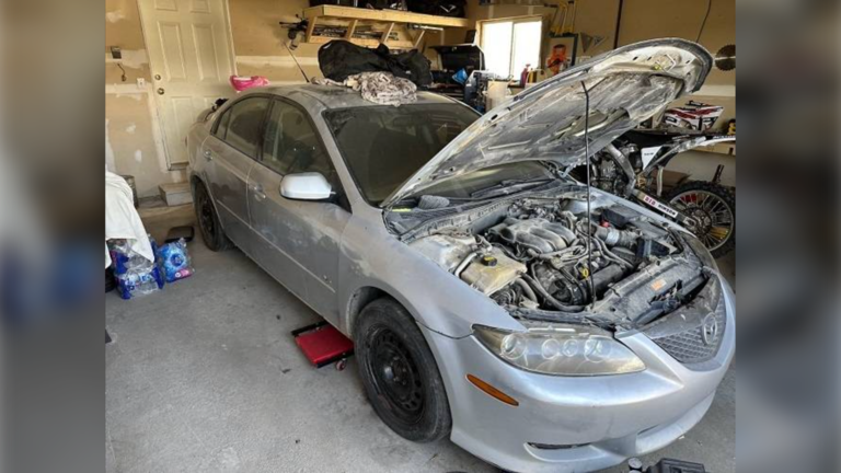Murder investigation begins after body found in burnt out vehicle near ...