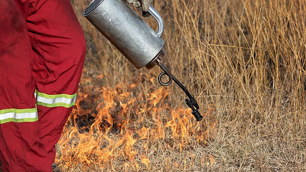 BC Wildfire Service to conduct prescribed burn near Fort Nelson Tuesday