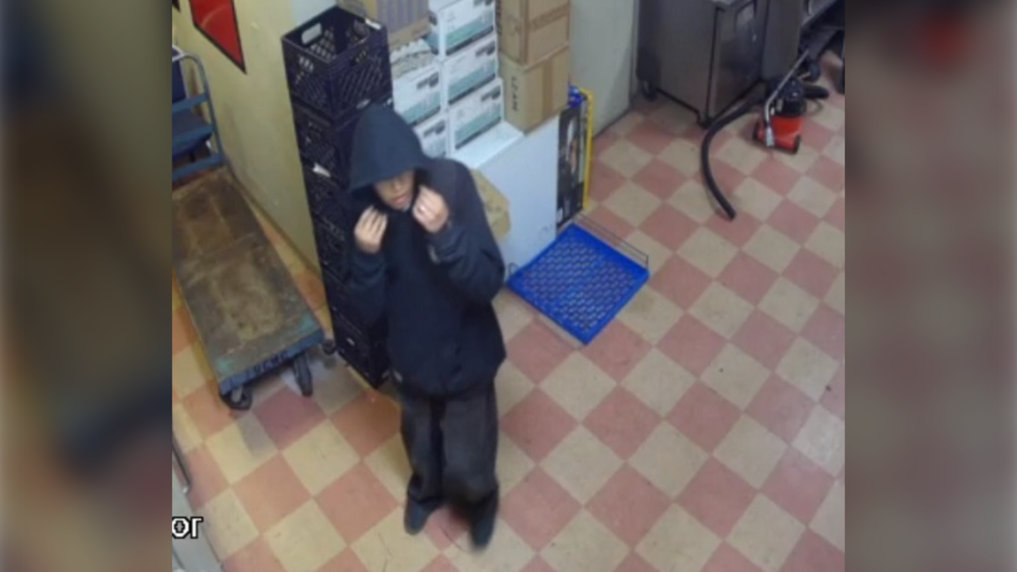 Fort St. John RCMP looking for five suspects after break and enter ...