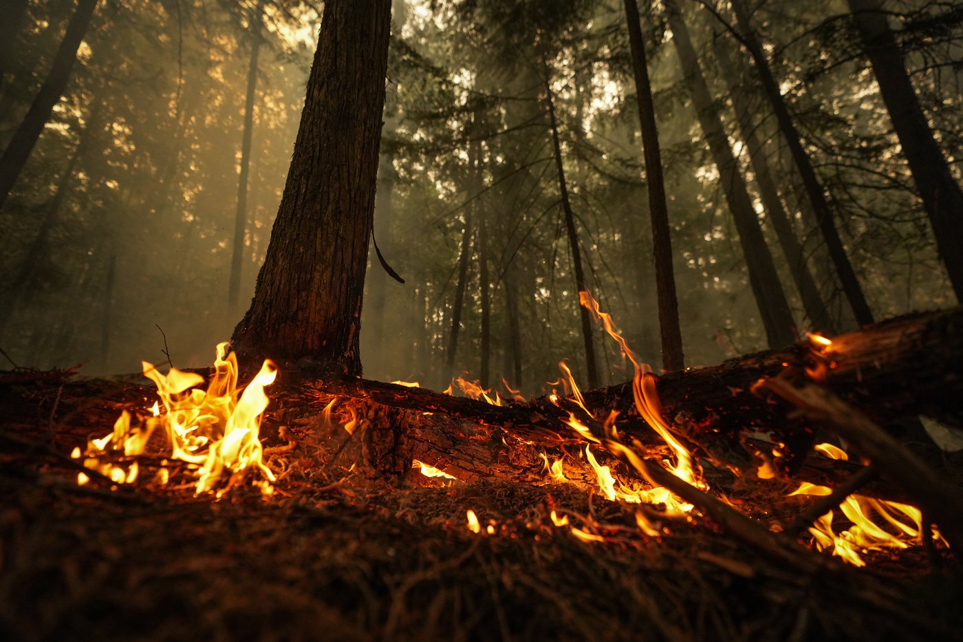 Wildfire burning near remote Northern Rockies resort and spa now being held