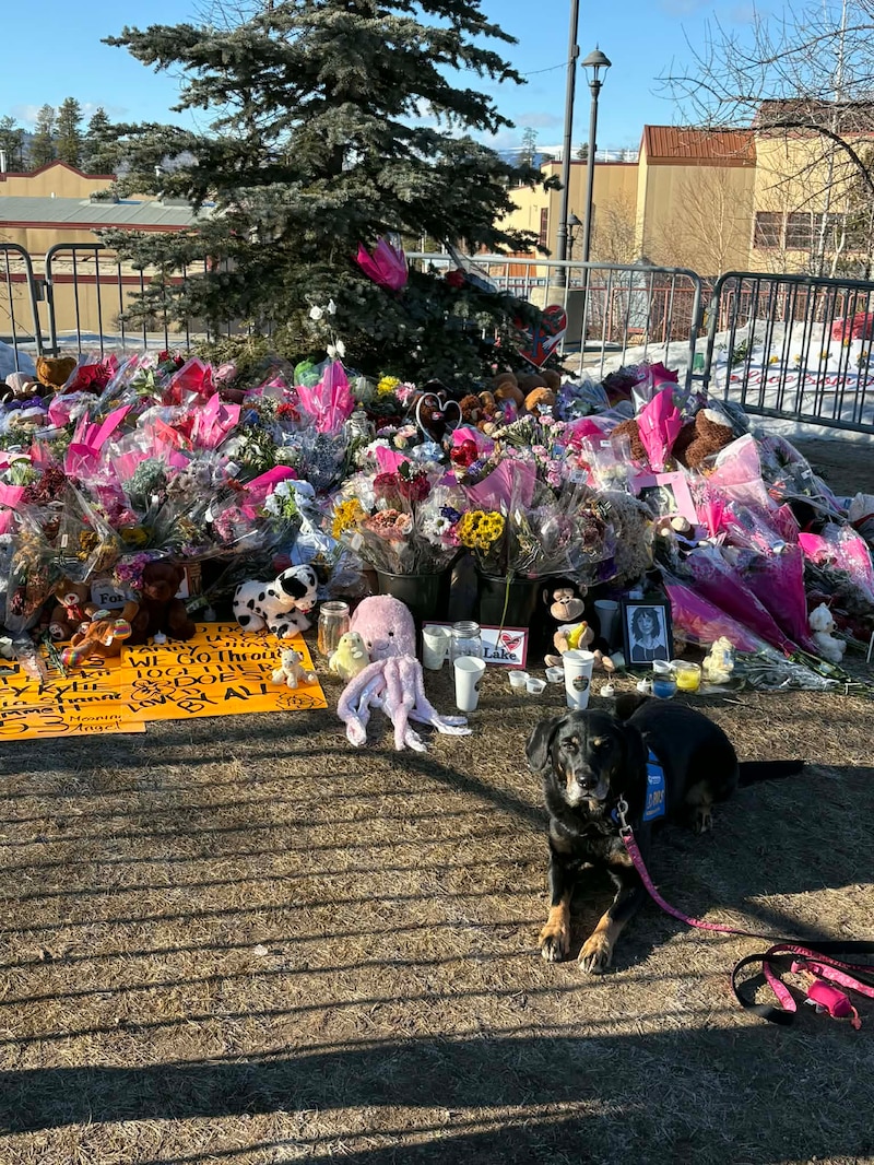 Dede Dacyk's service dog Benny