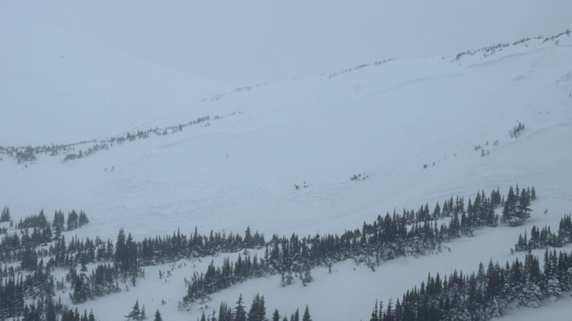 Tumbler Ridge avalanche