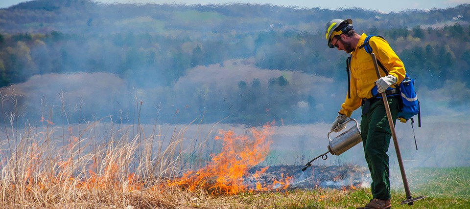 Prescribed burn planned within Tumbler Ridge to reduce wildfire risk