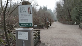 Off-leash trail changes in Pacific Spirit Park don’t sit well with some dog owners