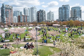 Cherry blossoms, monster trucks and more to see and do in Vancouver on the last weekend of March