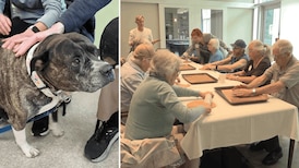Baking dog treats helps connect Victoria seniors with memory loss to the community
