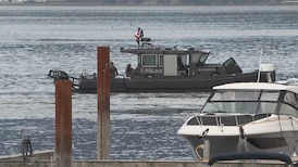 Man arrested under Mental Health Act after hours-long crisis negotiations that delayed BC Ferries sailings 