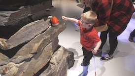 5th annual Beeping Eggs Project offers an inclusive Easter egg hunt