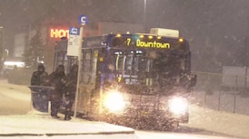 Edmonton blanketed with snow, a bit more expected on Wednesday