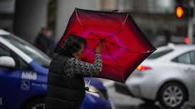 Wind warning in effect for parts of Fraser Valley
