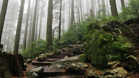 Grouse Grind opens early due to ‘favourable weather conditions’ 