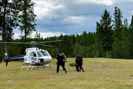 B.C. grizzly bear that attacked elk hunter found dead 