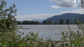 Body found in Fraser River weeks after man’s reported fall 