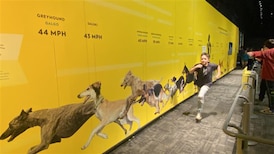 All about dogs at Telus World of Science