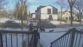 Dog attack latest of several over recent months in north-central Edmonton