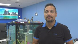 Travel agent tips before flying to the U.S., U.K. this holiday season