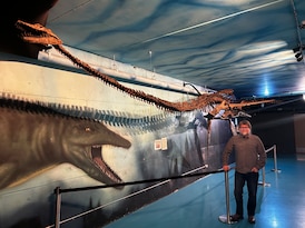 ‘Never-ending project’: Ancient sea creature brought back to life through 3D technology