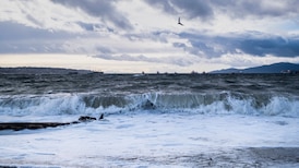 ‘Strong and gusty winds’ expected for B.C.’s South Coast 