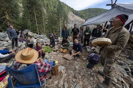 Fairy Creek anti-logging protesters win appeal in bid for class-action certification