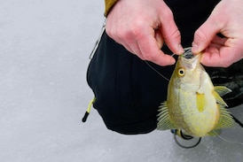 Ontario man accused of assaulting someone for ice fishing too close: police
