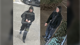 Video shows suspect in sexual assault reported in Burnaby, B.C., park 