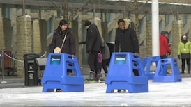 Free ways to spend Family Day in Edmonton 