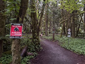 B.C. conservation officers close trails after man injured in black bear attack