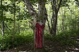 Indigenous women's groups urge funding to limit risks to safety, prosperity