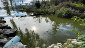 Vancouver Park Board to vote on $30M plan to reconnect Lost Lagoon to the ocean 