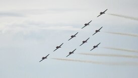 ‘Shining symbol of our very nation’: Campaign launched to keep Snowbirds flying