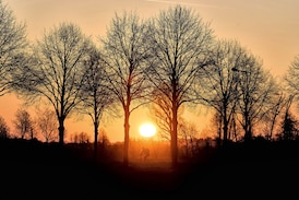 Clock change marks progress for some Canadians, but is a pain for others