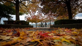 Spooky and sporty events headline this weekend in Metro Vancouver