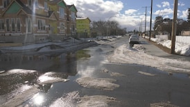 Man found dead in greenspace died of gunshot wounds, death declared homicide