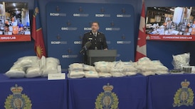 Nearly 400K doses of fentanyl, analogues seized during bust in B.C.’s Fraser Valley, police say