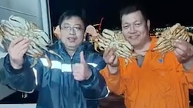 Sailors visiting Vancouver brag of catching hundreds of crabs, investigation underway