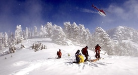 B.C. heli-ski company says snowboarder died in fall in a tree well