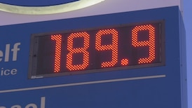 Respite at the pump? Don’t count on it: economist 