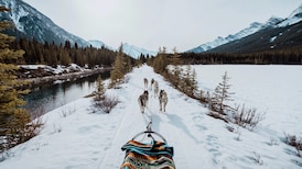 Winter activities, vacation ideas and places to visit in Alberta this year