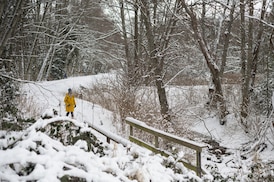 Frontal system brings heavy snow, strong winds and record warmth to areas of B.C.