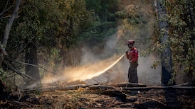 B.C. officials to provide wildfire, drought outlook 