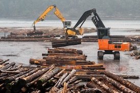 B.C. forestry workers, other sectors hurt by tariffs to get $70M in jobs training