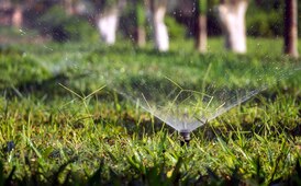 No lawn watering starting May 1 as Metro Vancouver jumps to Stage 2 restrictions 