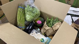 Imperfect produce company gaining traction in Edmonton 