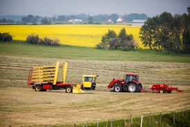 ‘Definitely not a step backwards’: Manitoba canola farmers react to trade deal with China