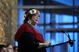 No difference between suspending and amending DRIPA, says First Nations leader