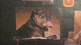 Separatism, conviction in fatal dog attack: The week’s top stories 