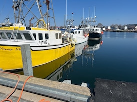 Cool ocean temperatures and high cost of fuel causes concern for Nova Scotia lobster industry