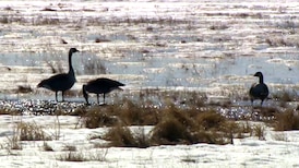 Warmer and sunnier conditions to close the week