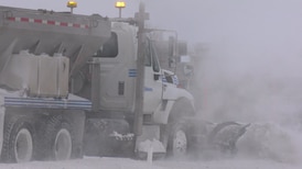 No residential parking ban expected at this point: city snow-clearing boss 